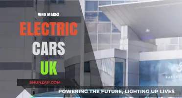 Top UK Electric Car Manufacturers: Leading the Green Revolution