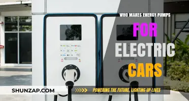 Who Manufactures Energy Pumps for Electric Vehicles: Key Players Revealed
