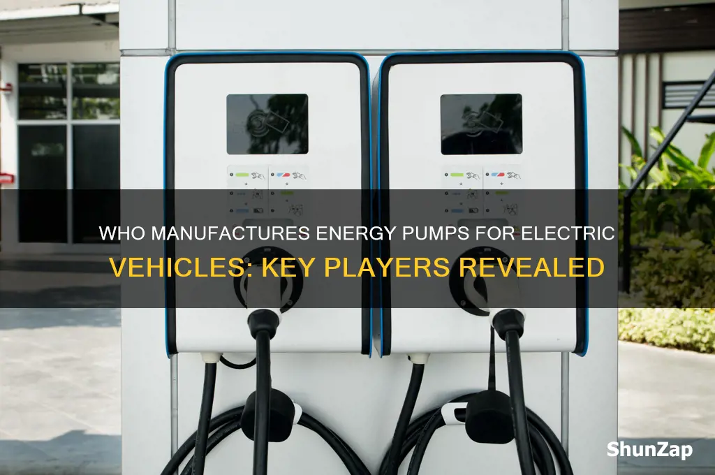 who makes energy pumps for electric cars