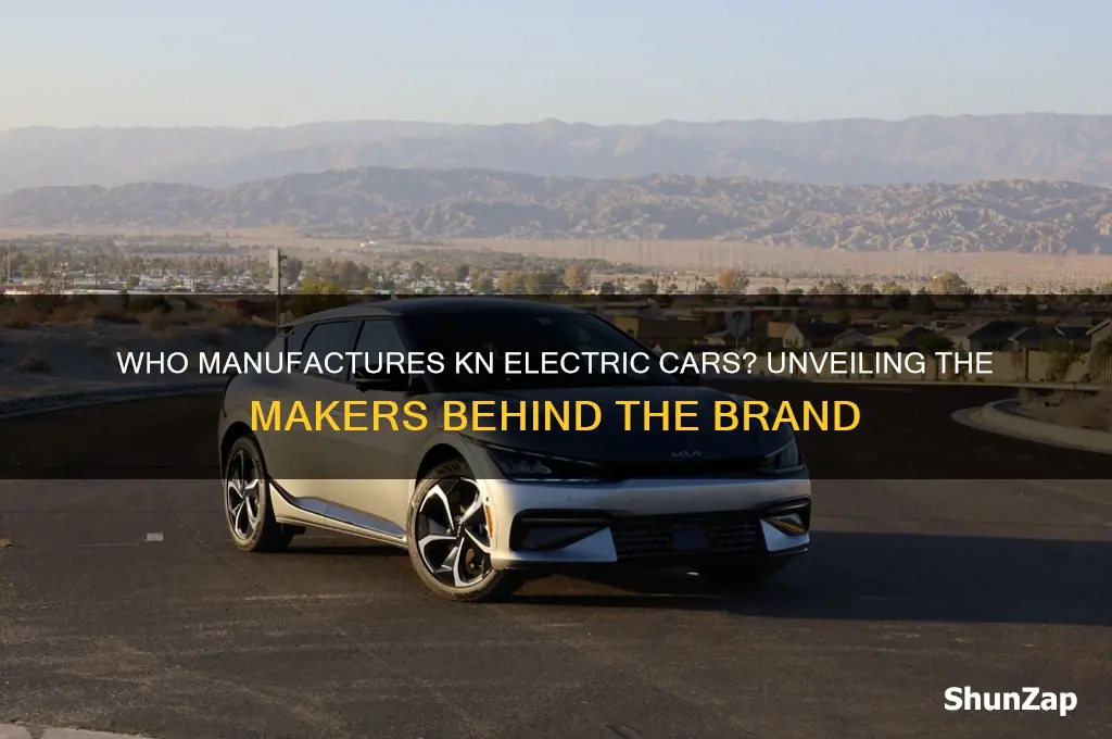 who makes kn electric cars