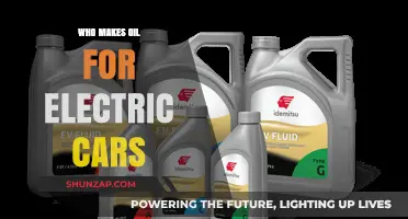 Electric Car Lubricants: Unveiling the Manufacturers Behind the Oil