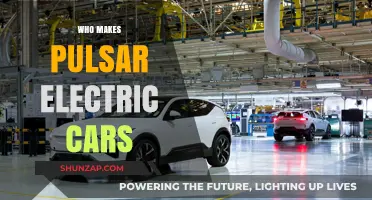 Who Manufactures Pulsar Electric Cars? Unveiling the Brand Behind the Innovation