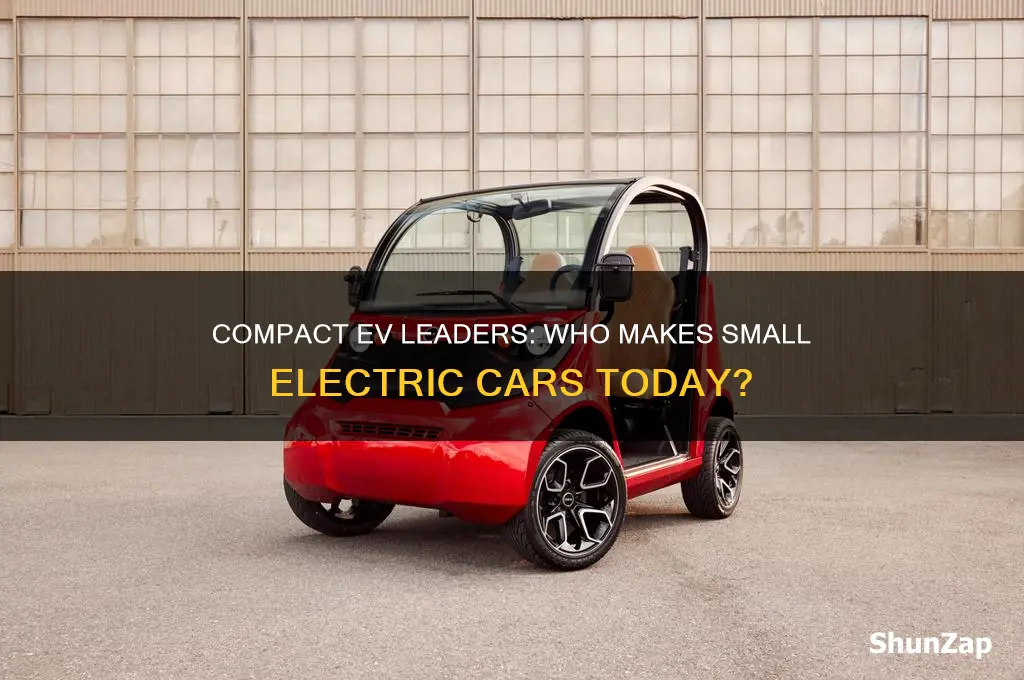 who makes small electric cars