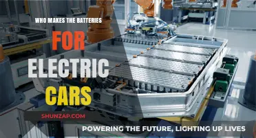 Who Manufactures Electric Car Batteries? Top Producers Revealed