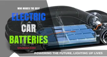 Top Electric Car Battery Makers: Who Powers the Best EVs?