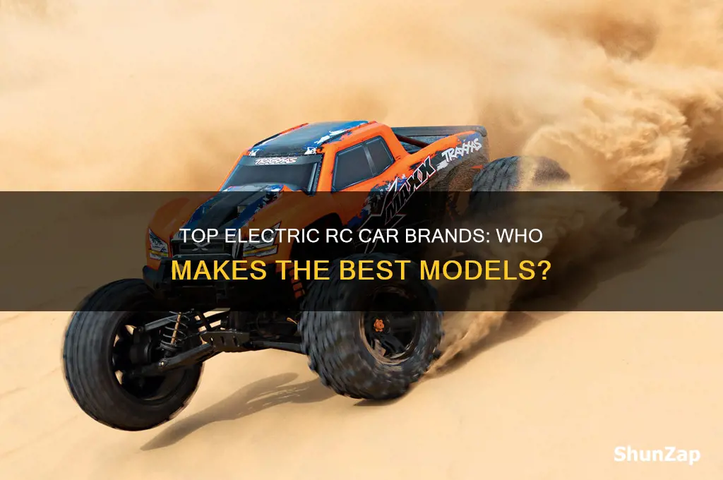 who makes the best electric rc cars
