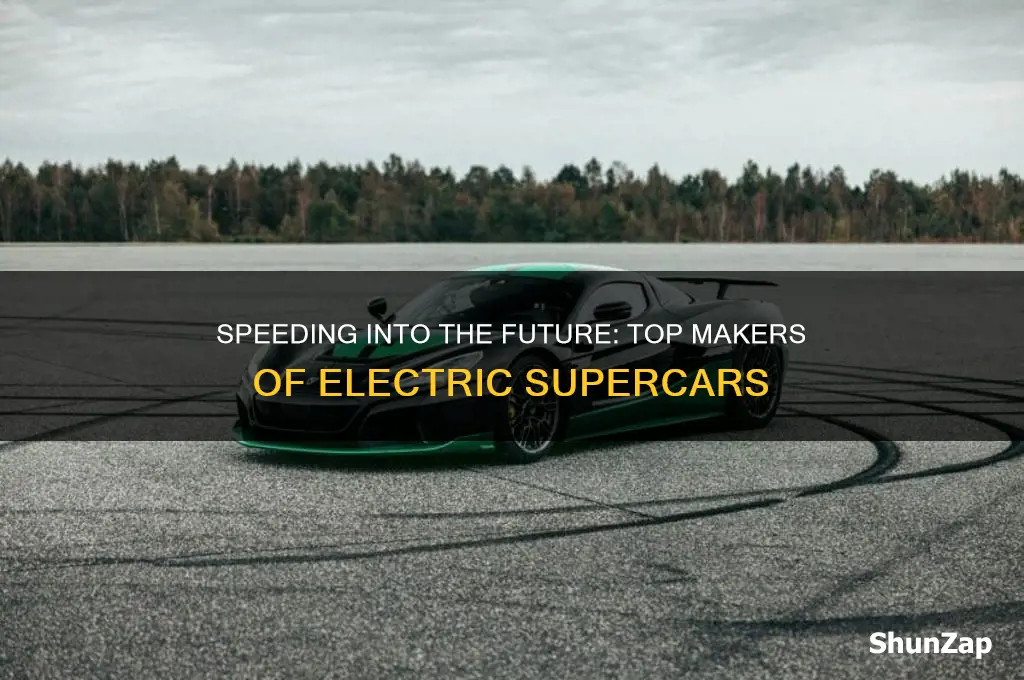who makes the fastest electric car