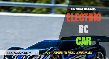 Top Electric RC Car Brands: Who Builds the Fastest Models?