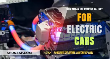 Revolutionizing Electric Vehicles: The Makers of the Forever Battery