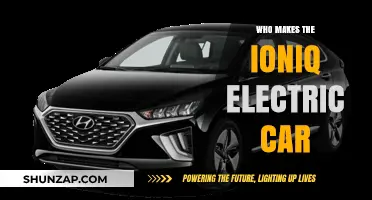 Hyundai's Ioniq Electric Car: Manufacturer and Production Insights