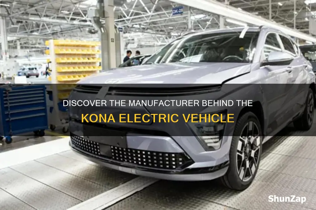 who makes the kona electric car