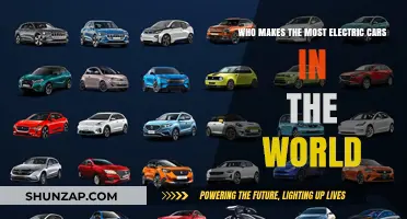 Global Leaders in Electric Vehicle Production: Who Tops the List?