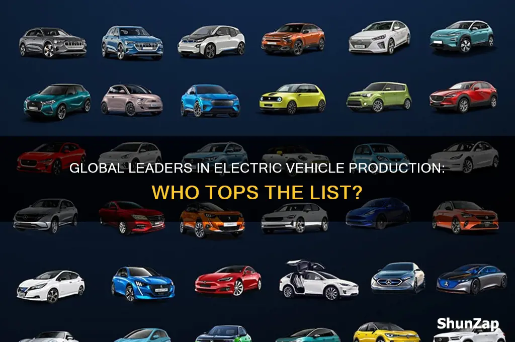 who makes the most electric cars in the world