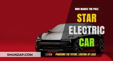 Discovering the Manufacturer Behind the Pole Star Electric Vehicle