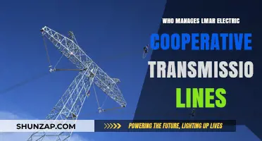 LMAR Electric Cooperative: Transmission Line Management Explained