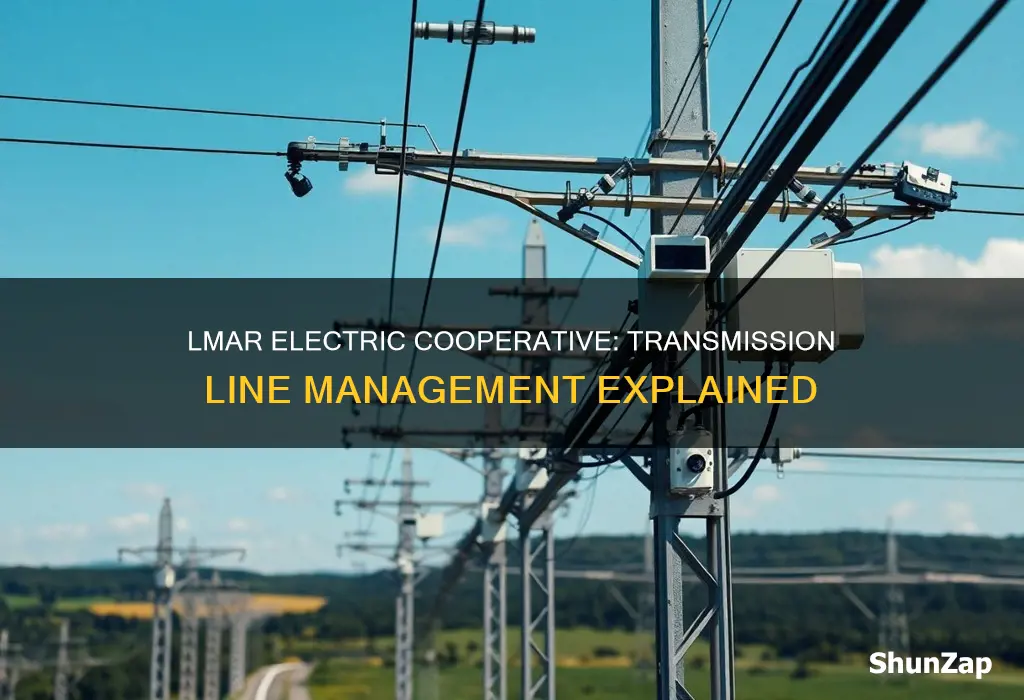 who manages lmar electric cooperative transmission lines