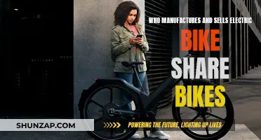 Manufacturers and Retailers of Electric Bike Share Bikes