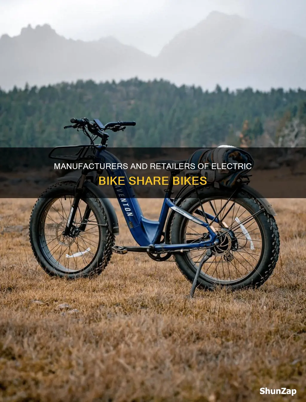 who manufactures and sells electric bike share bikes