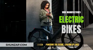 Electric Bike Manufacturers: Exploring the Top Brands