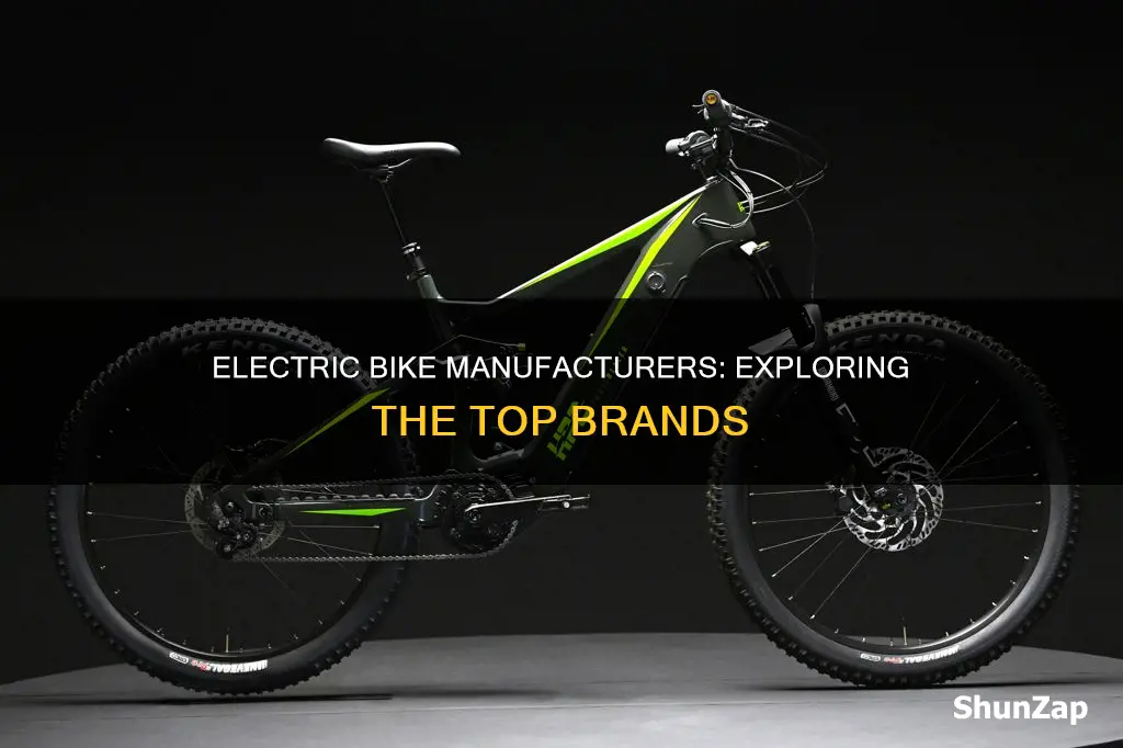 who manufactures electric bikes