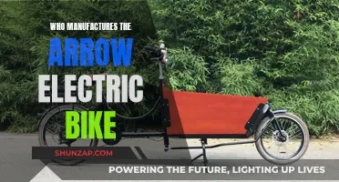 Arrow Electric Bikes: Who's Behind Their Manufacture?