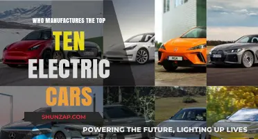 Leading Electric Car Manufacturers: Top 10 Brands Shaping the Industry