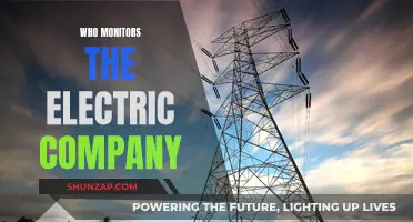 Unveiling the Watchdogs: Who Oversees the Electric Utility Giants?