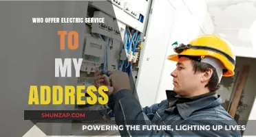 Electric Service Providers: Who Powers My Address?