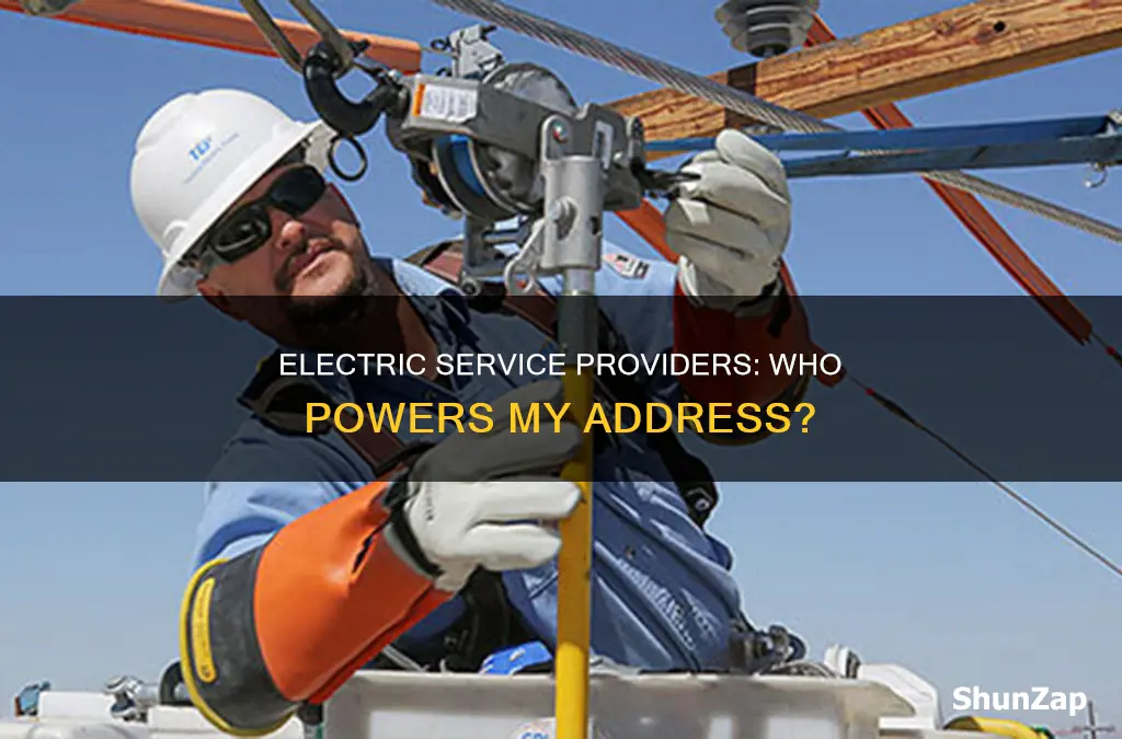 who offer electric service to my address