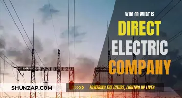 Direct Electric Company: What's Their Deal?