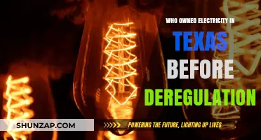 Texas Electricity: Pre-Deregulation Ownership