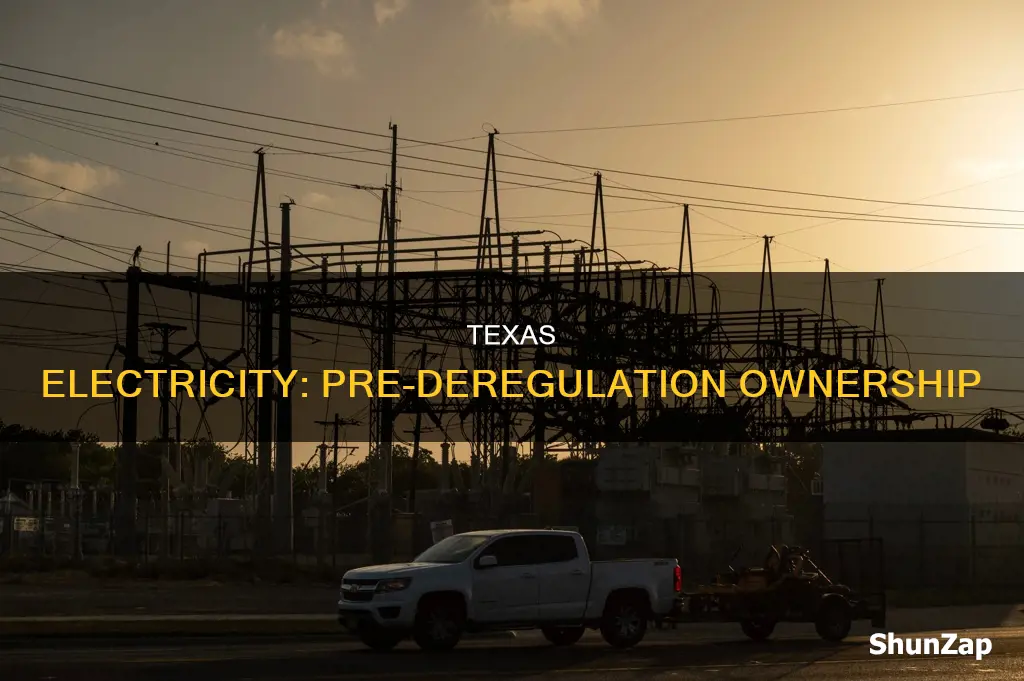 who owned electricity in texas before deregulation