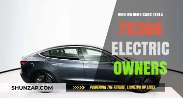 Tesla Electric Car Ownership: Who Owns Model 76366?