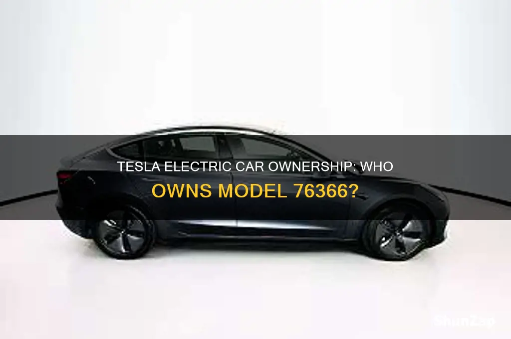 who owners cars tesla 76366 electric owners