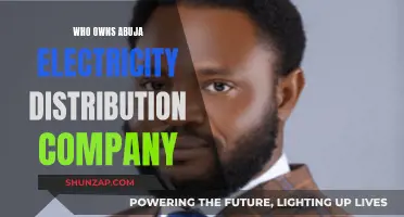 Unraveling the Ownership of Abuja's Power: A Comprehensive Overview