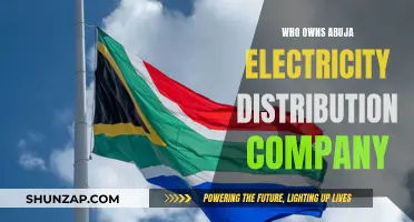 Abuja Electricity Distribution Company: Ownership and Control