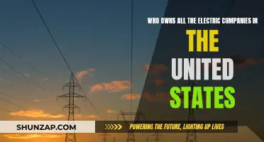 Unraveling the Ownership Web: Who's in Control of US Electric Utilities?