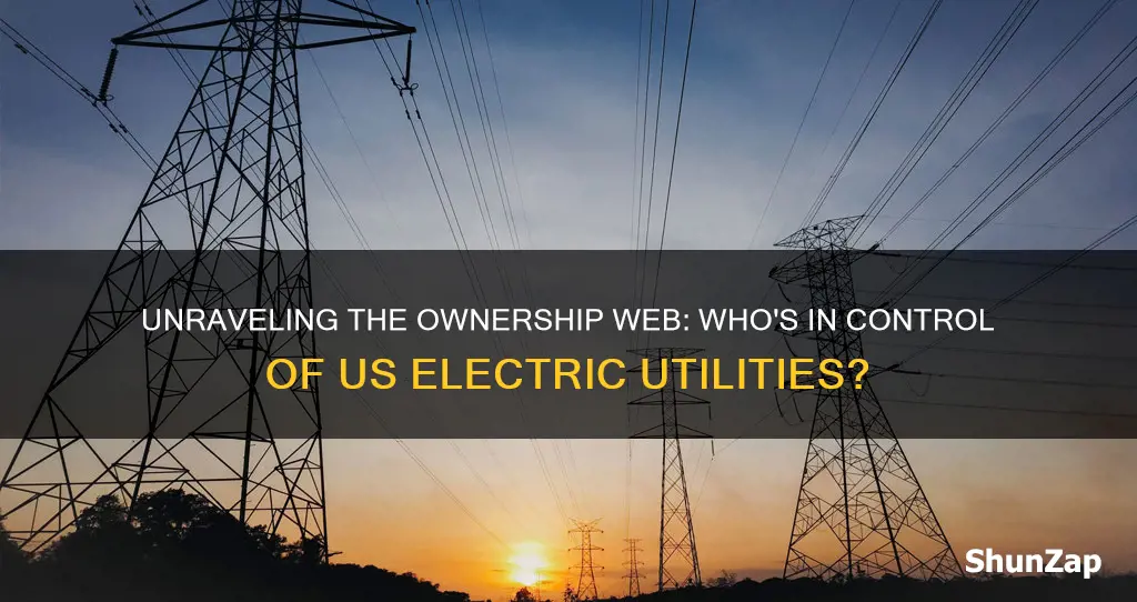 who owns all the electric companies in the united states