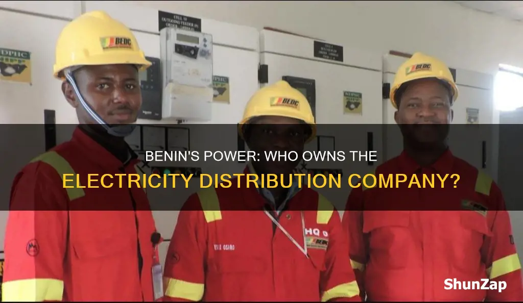 who owns benin electricity distribution company