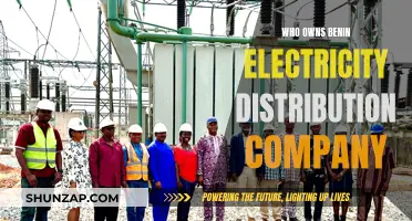 Benin Electricity Distribution Company: Ownership and Control