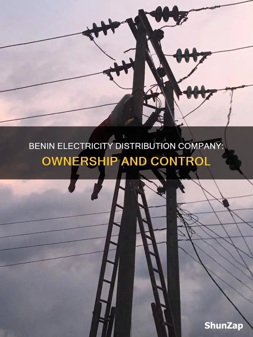 who owns benin electricity distribution company