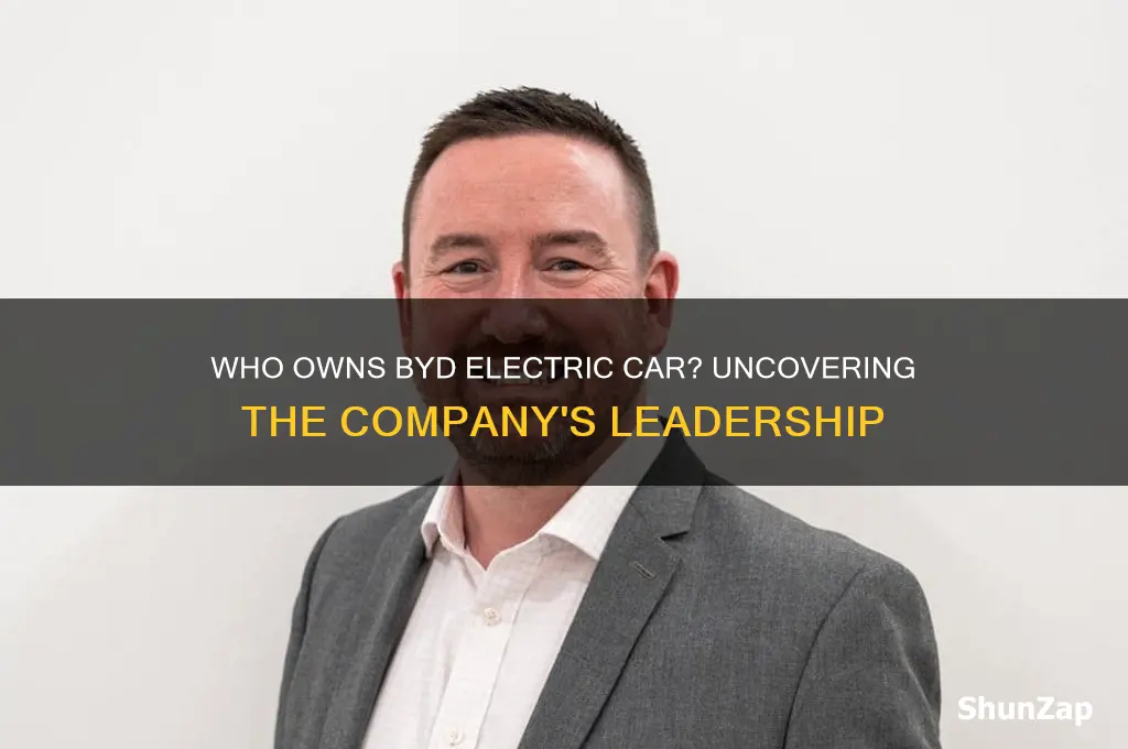 who owns byd electric car