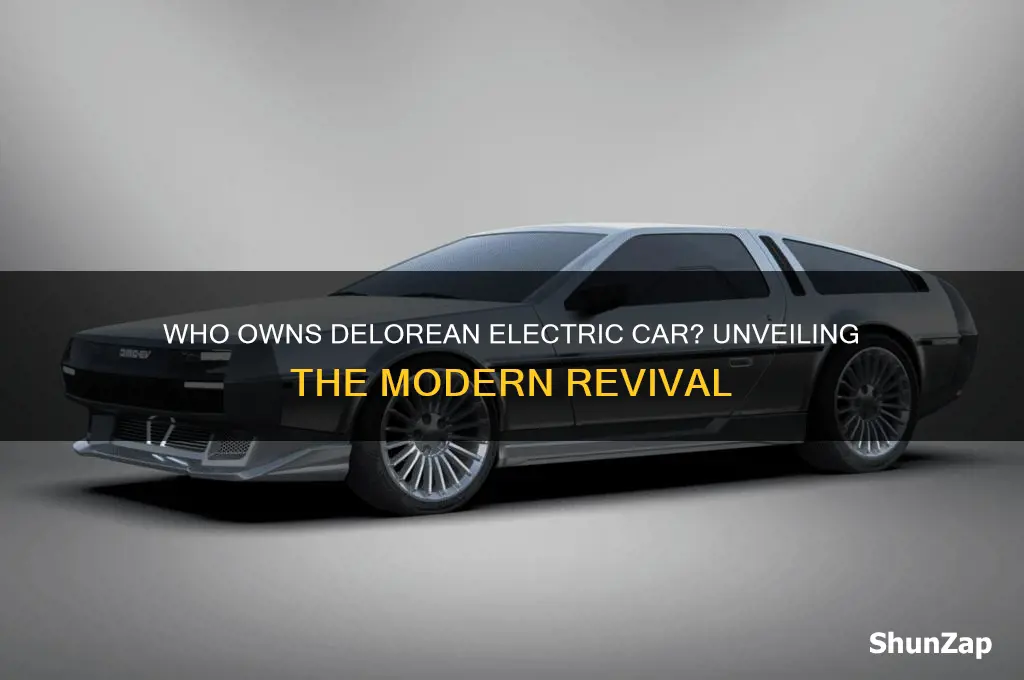 who owns delorean electric car