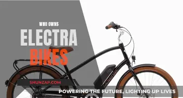 Electra Bikes Ownership: Who's Behind the Brand?