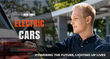 Who Owns Electric Cars? Exploring the Demographics and Trends