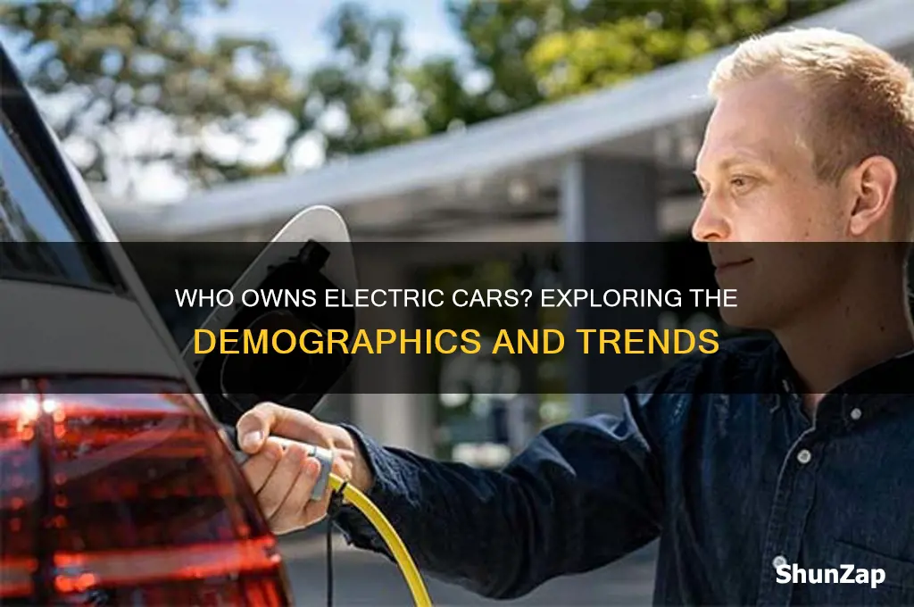 who owns electric cars