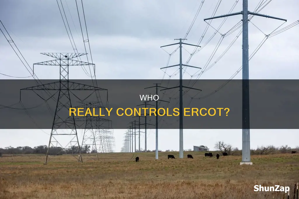 who owns electric reliability council of texas