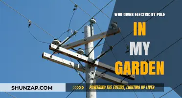 Electricity Poles: Who Owns the Ones in Your Garden?