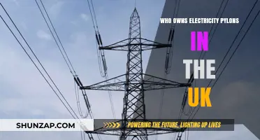 Electricity Pylons: Who Owns the UK's Power Infrastructure?