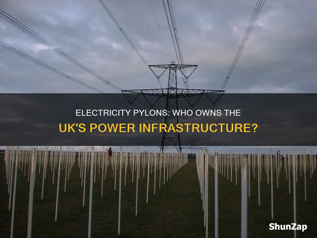 who owns electricity pylons in the uk